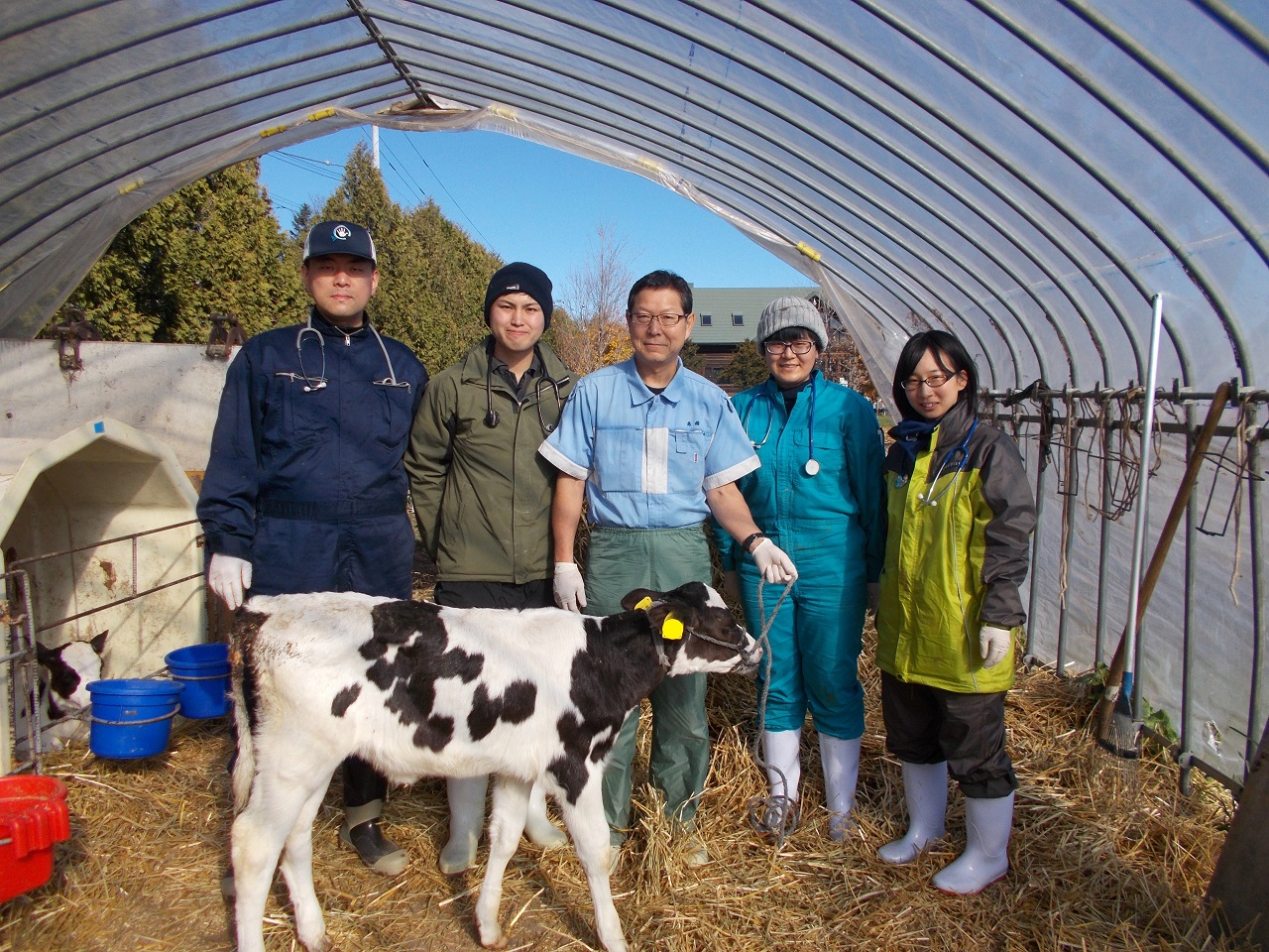 帯広畜産大学動物医療センターVeterinary Medical Center, Obihiro University of Agriculture and Veterinary Medicine