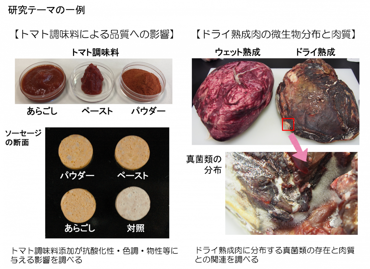 美味しくて体に優しい食品を目指して－機能性成分を活用した食肉加工－ 帯広畜産大学 産学連携センター 