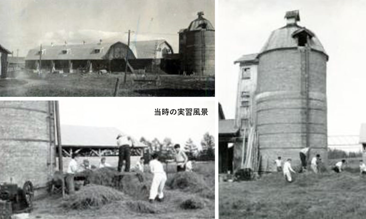 沿革 – 帯広畜産大学 畜産フィールド科学センター