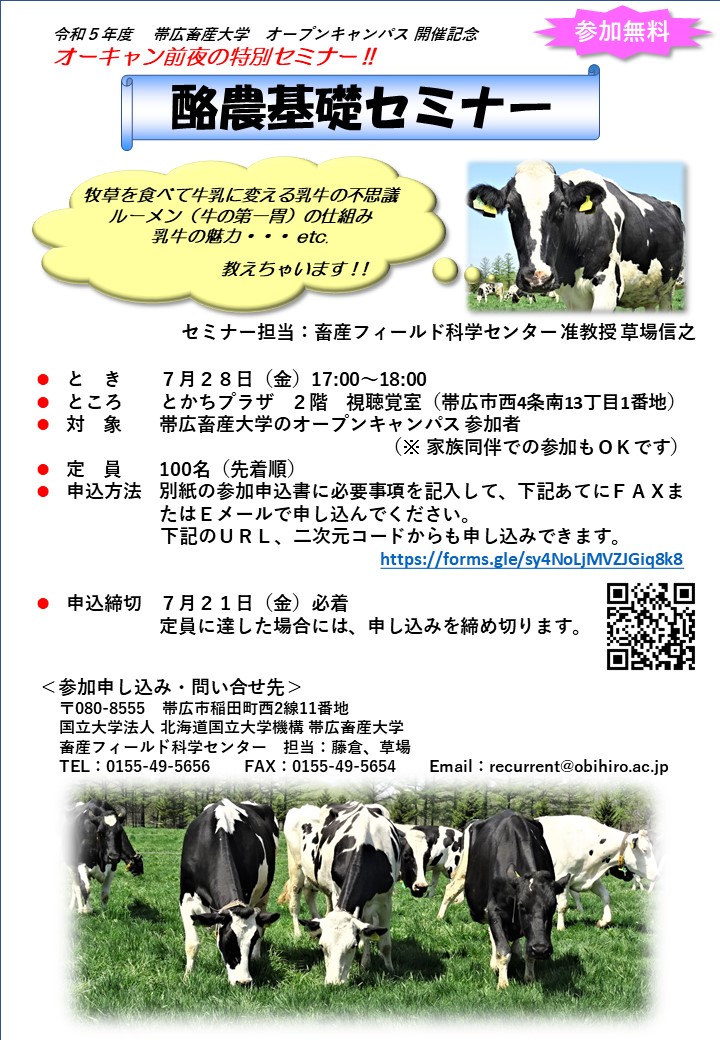 大学と教養教育――戦後日本における模索 大学と教養教育――戦後日本における模索 | 吉田 文 |本 | 通販
