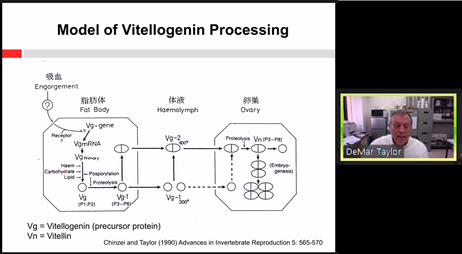 講演の様子 Presentation by Prof. DeMar Taylor