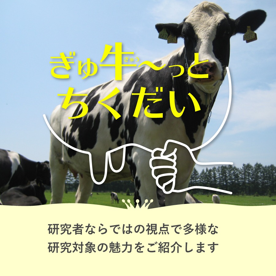 ぎゅ牛〜っとちくだい