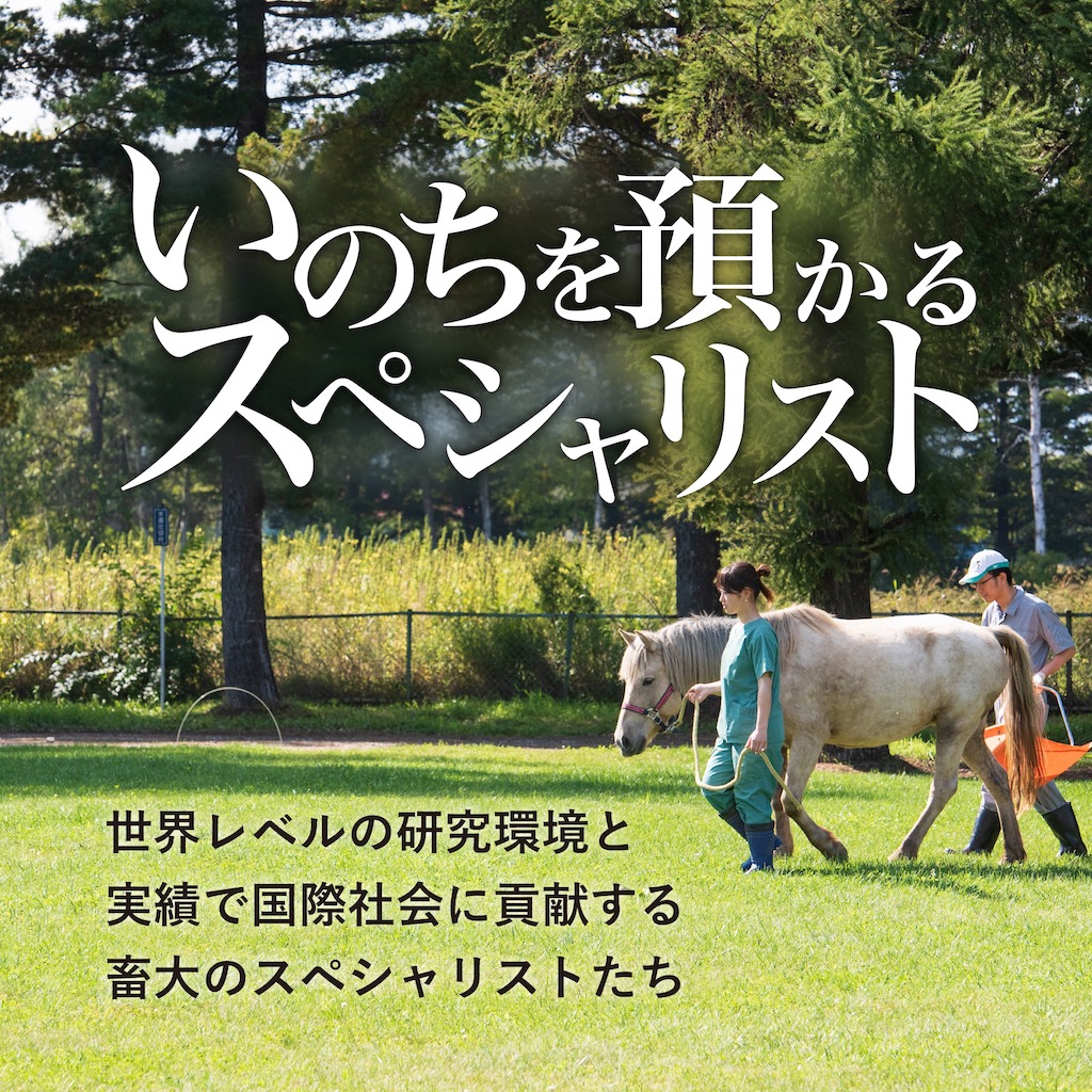 いのちを預かるスペシャリスト