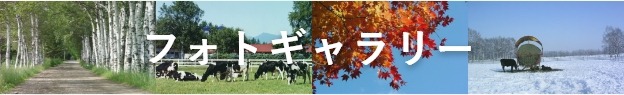 フォトギャラリー