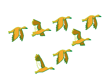 鴨