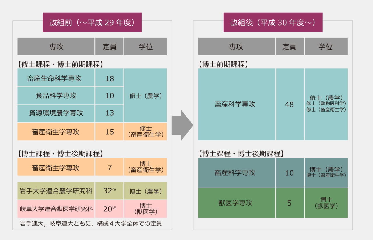 九州大学(理系-前期日程)経済〈経済工学科〉・理・医・歯・薬・工・農学部 (2005年版 大学入試シリーズ) 教学社編集部 九州大学(理系-前期日程)経済〈経済工学科〉・理・医・歯・薬