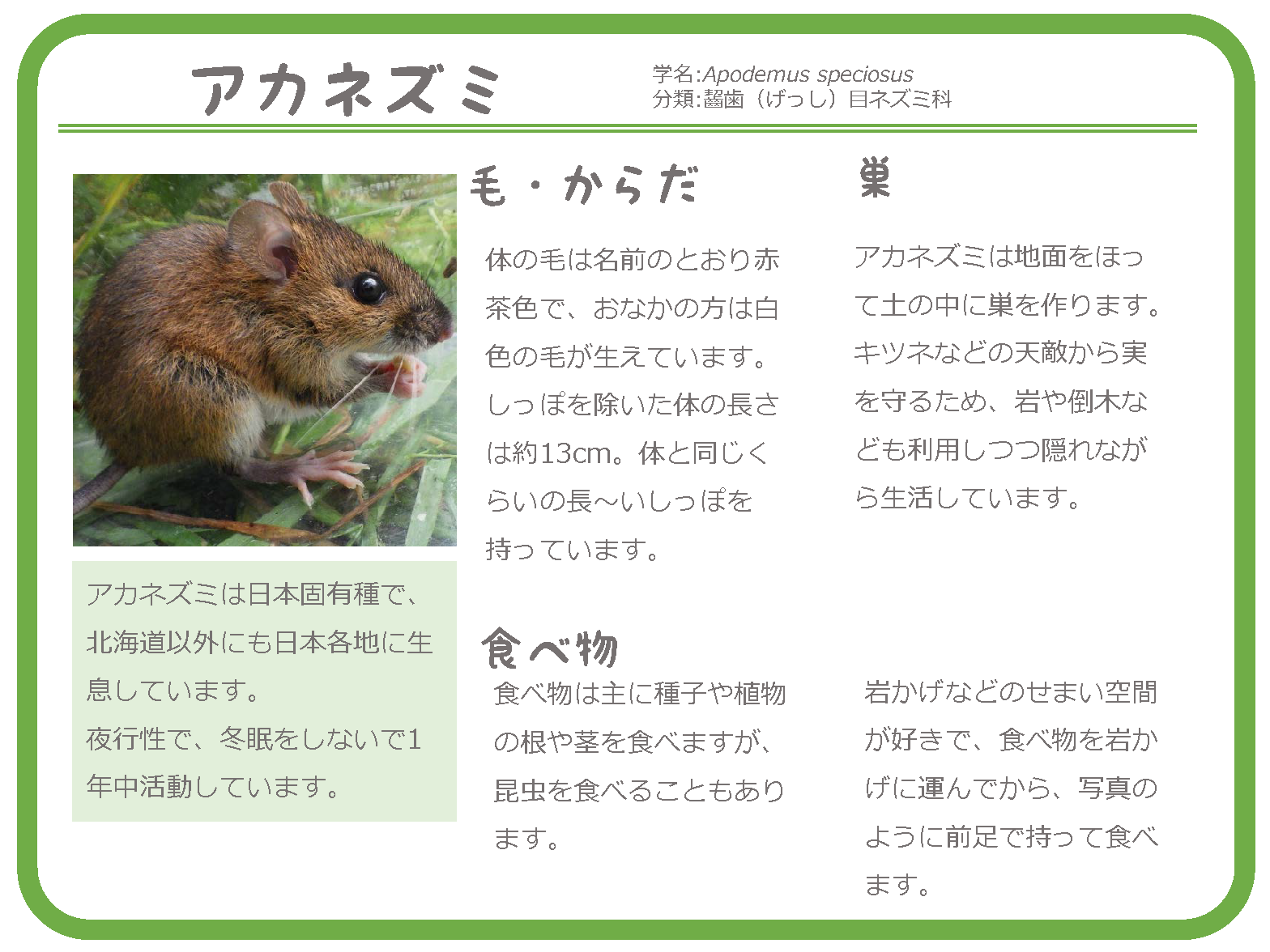 野生動物の目線になって見てみよう 帯広畜産大学